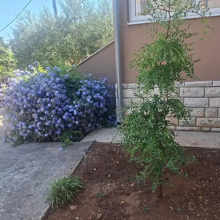 Marko I Teo Διαμέρισμα *